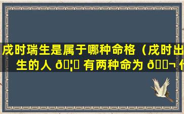 戌时瑞生是属于哪种命格（戌时出生的人 🦊 有两种命为 🐬 什么是富贵命吗）